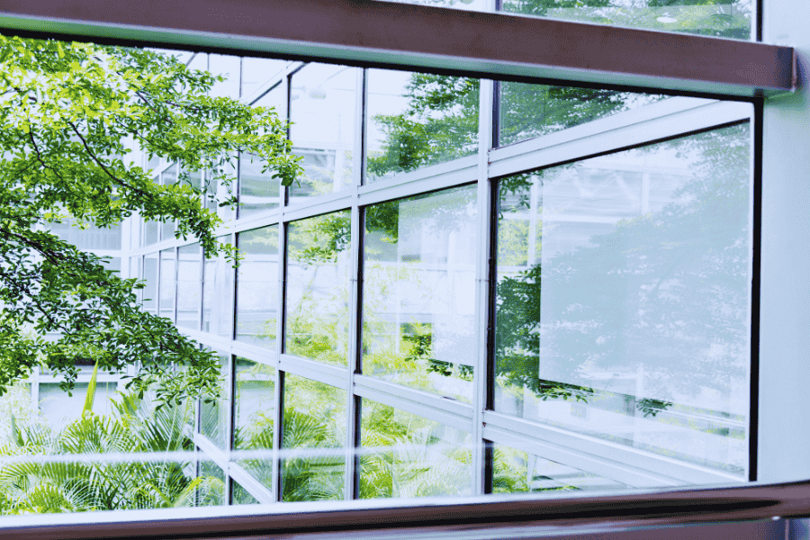 office window cleaning